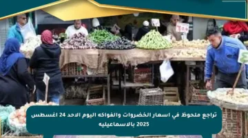 تراجع ملحوظ في أسعار الخضروات والفواكه اليوم الأحد 24 أغسطس 2025 بالإسماعيلية